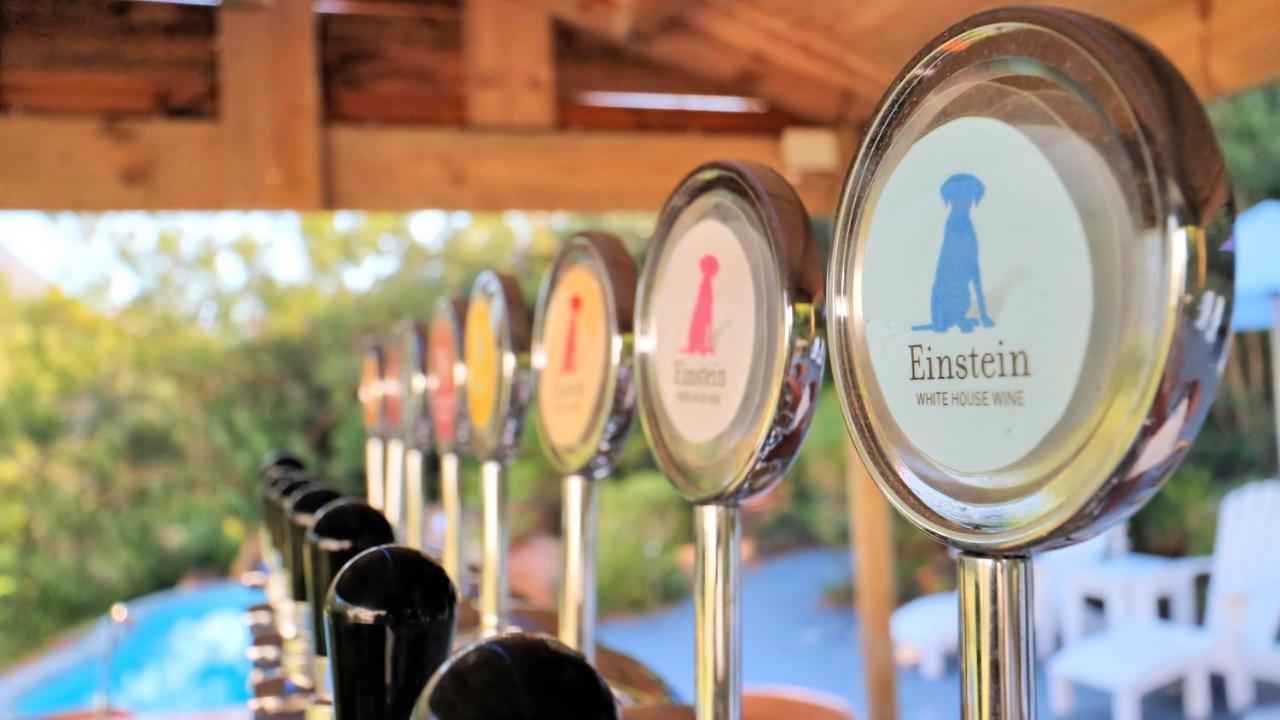 Thelab Cape Town Hotel Hout Bay Eksteriør billede