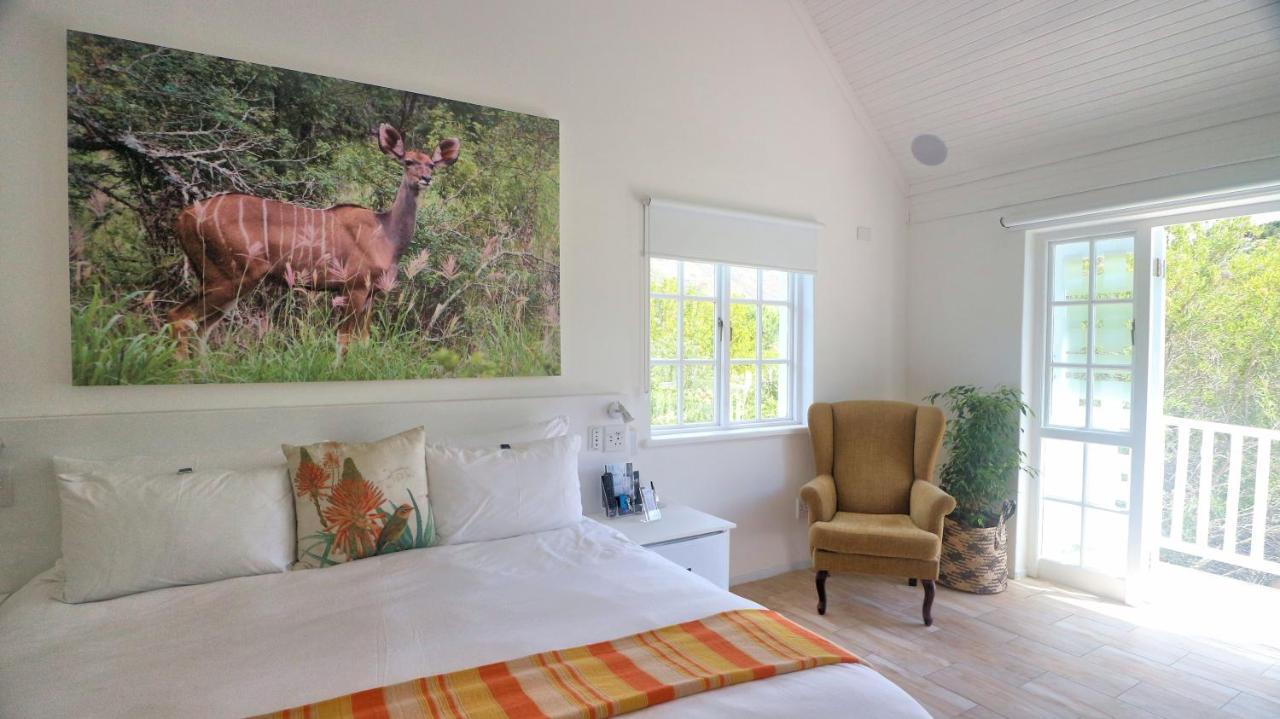 Thelab Cape Town Hotel Hout Bay Eksteriør billede